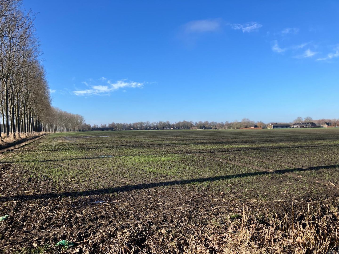 Bekijk foto 4 van Wielekesweg