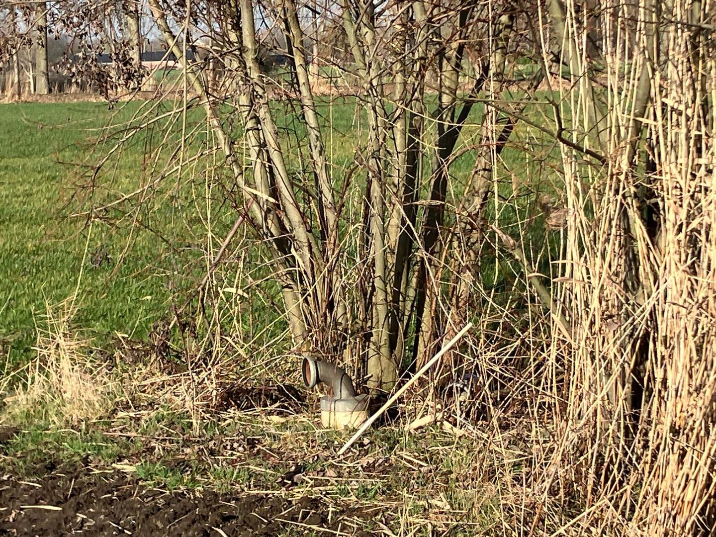 Wielekesweg - Lieshout - Afbeelding 7