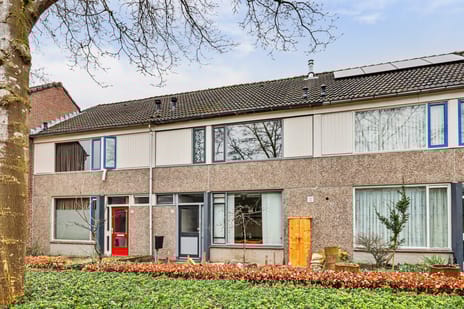 undefined main image