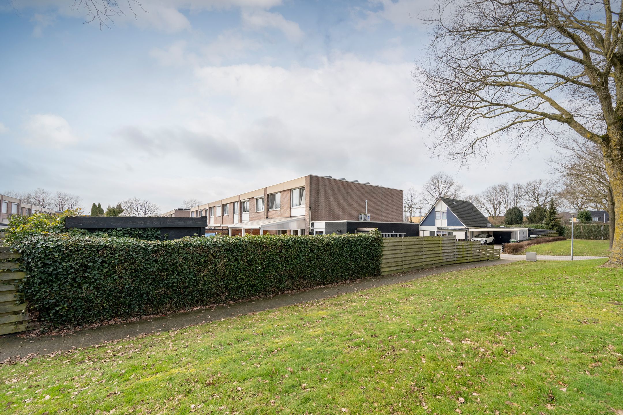 Photo 33 of Tortelduif 36