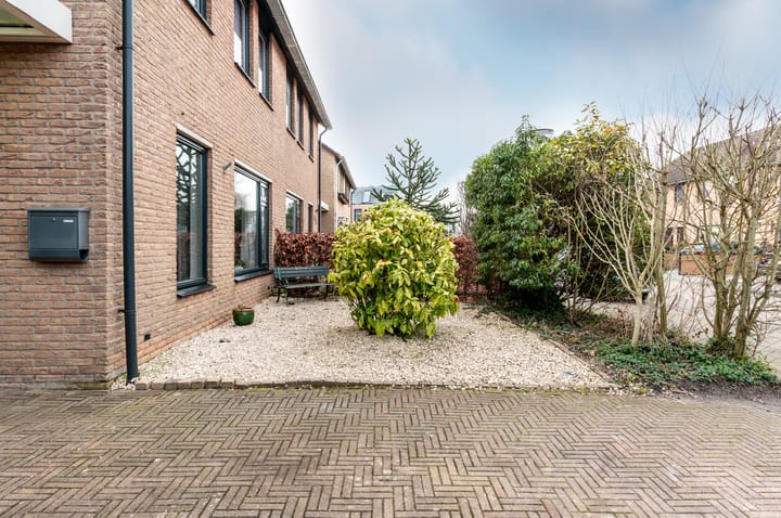 Foto 5 van Wold 20 17