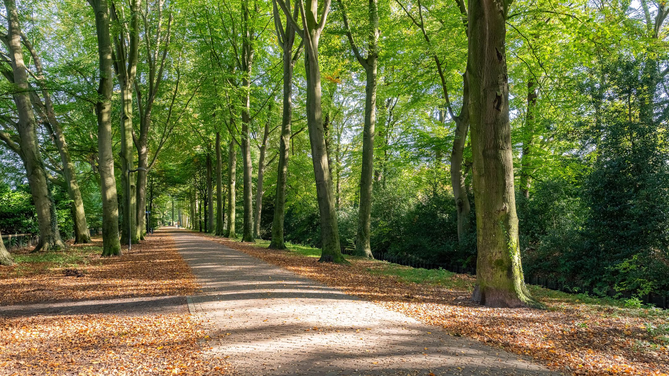 Foto 33 van Molenstraat 8