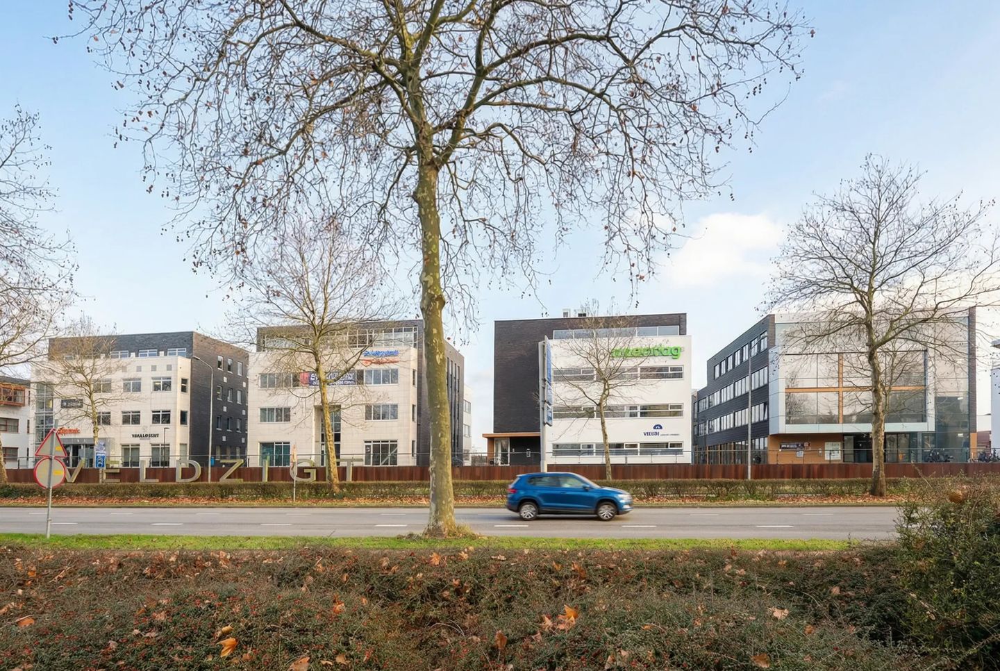 Bekijk foto 4 van Park Veldzigt 19-29