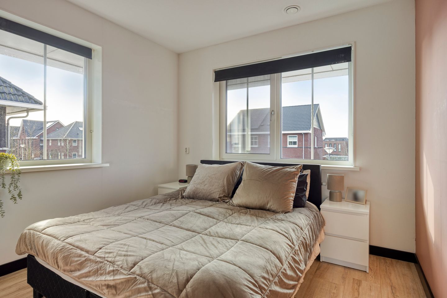 Foto 34 van Kuifeend 51