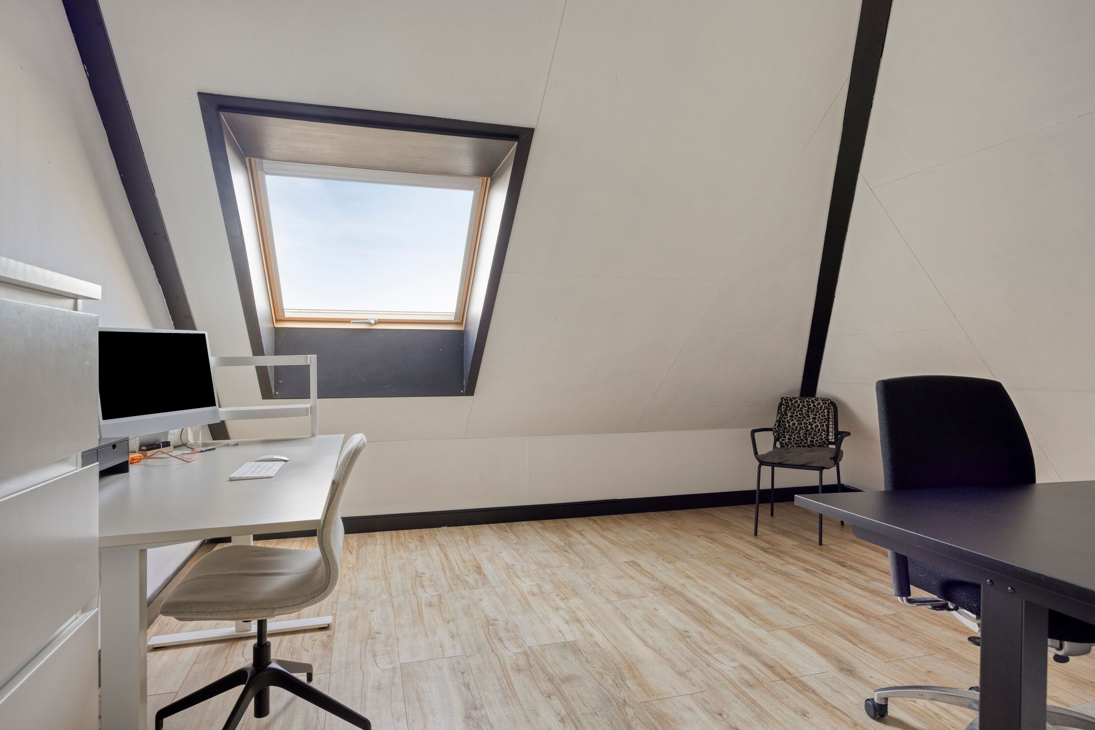 Foto 39 van Kuifeend 51