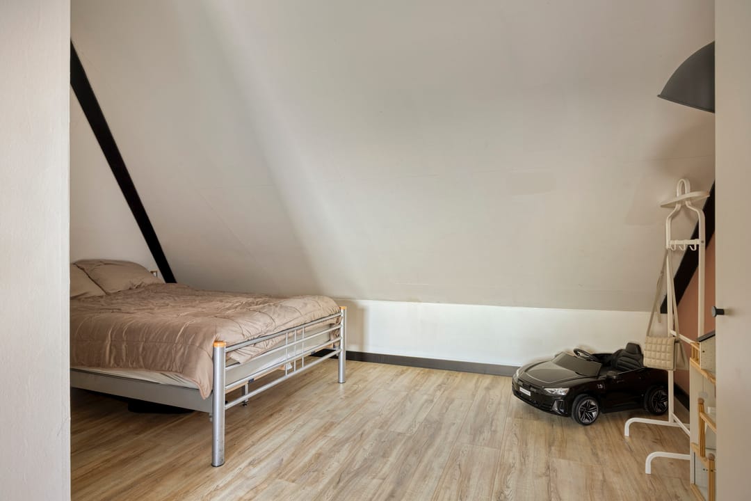 Foto 41 van Kuifeend 51