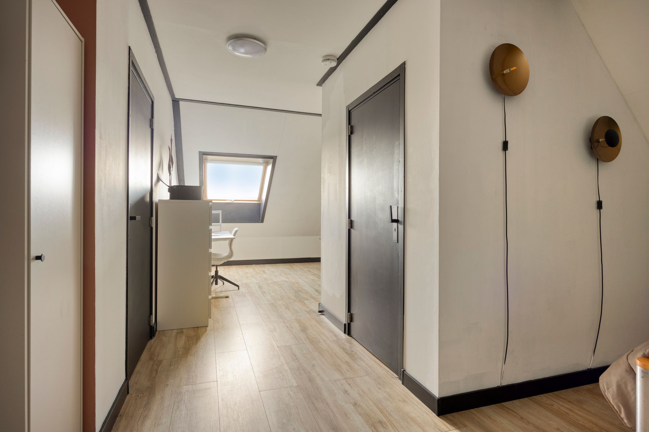 Foto 42 van Kuifeend 51