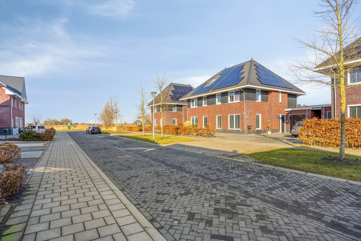 Foto 50 van Kuifeend 51