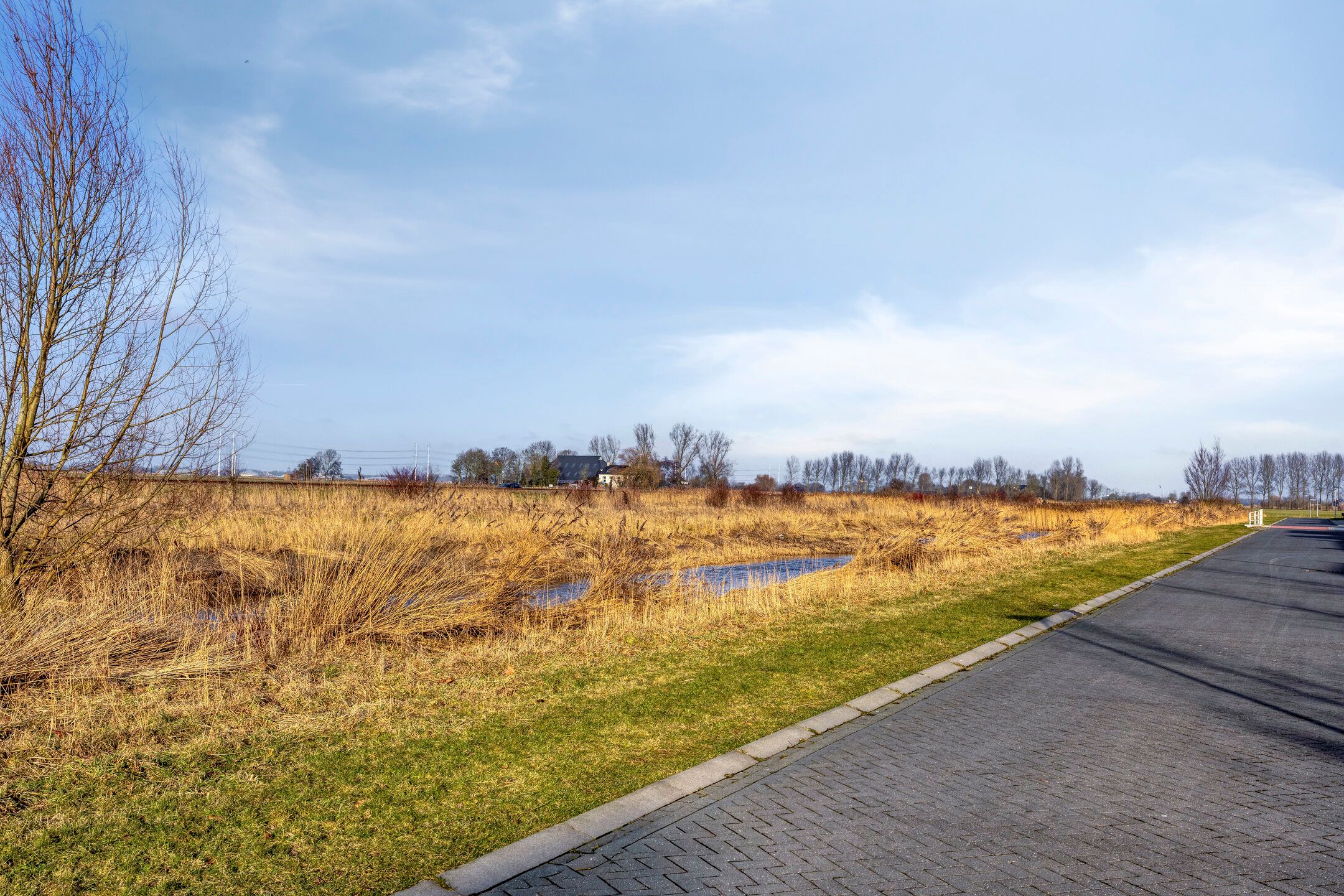 Foto 51 van Kuifeend 51