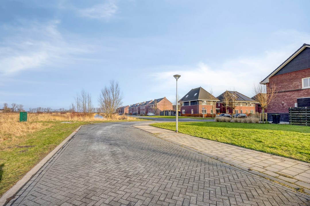 Foto 52 van Kuifeend 51