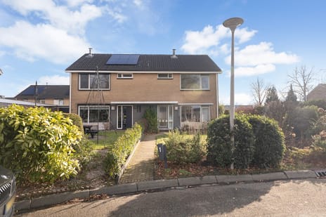 undefined main image