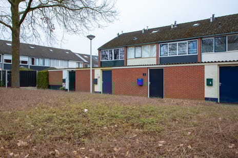 undefined main image