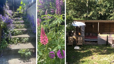 Zandvoortselaan 131 tertiary image