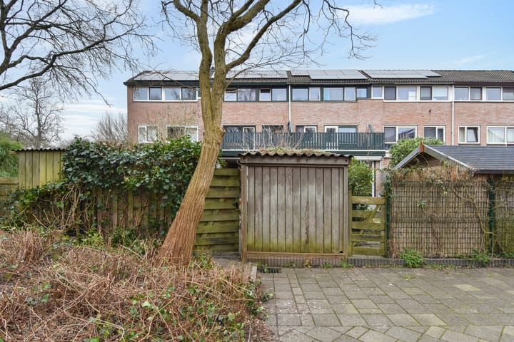 Photo 49 of Tijberg 50