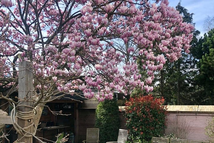 Foto 32 van Schiedamseweg 116