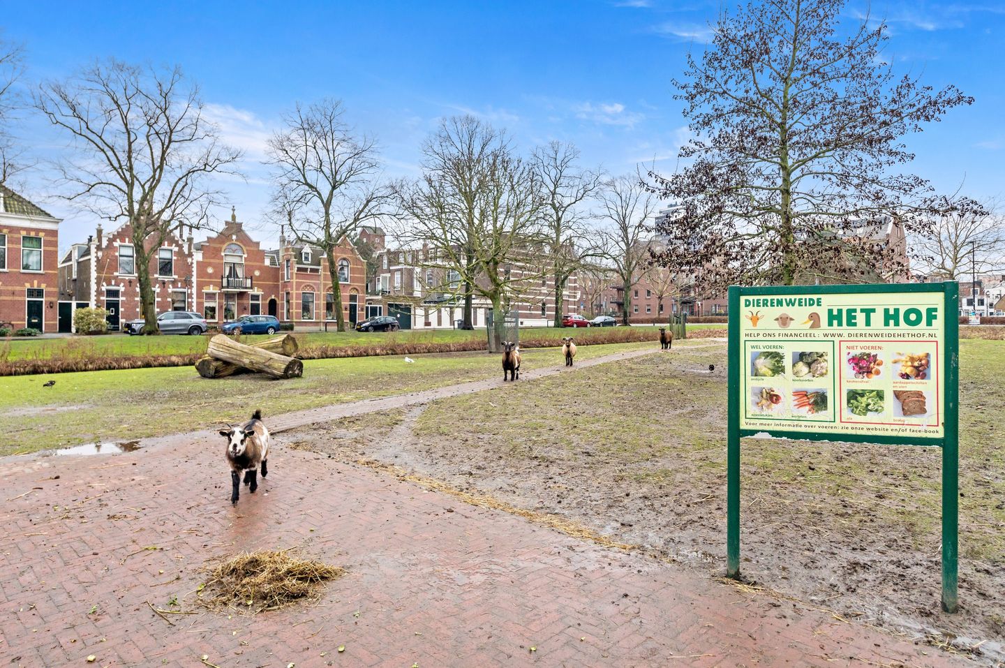 Foto 70 van Schiedamseweg 116