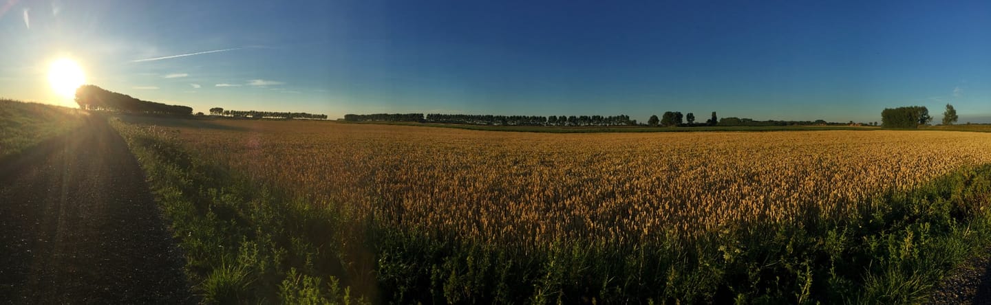 Foto 4 van Platteweg 1