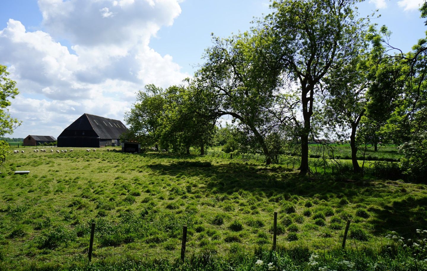 Foto 5 van Platteweg 1