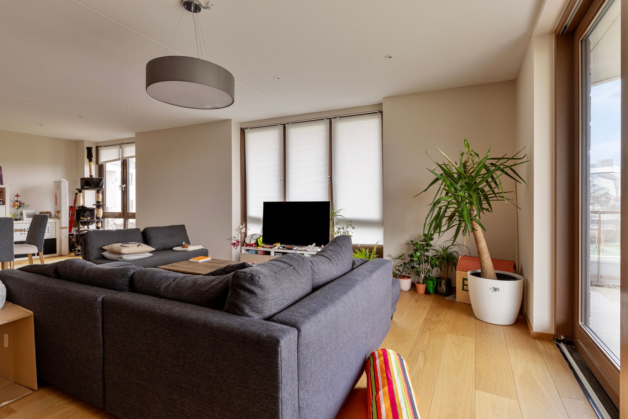 Foto 12 van Burgemeester Geukerspark 49