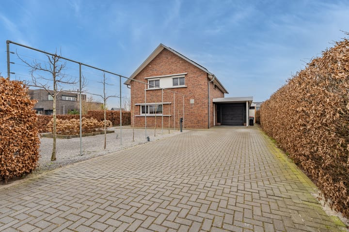 Foto 4 van Leeuwerik 24