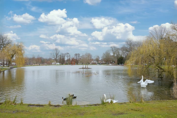 Foto 22 van Vijverweg 100