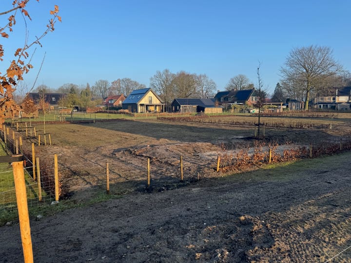 Foto 3 van Terracotta