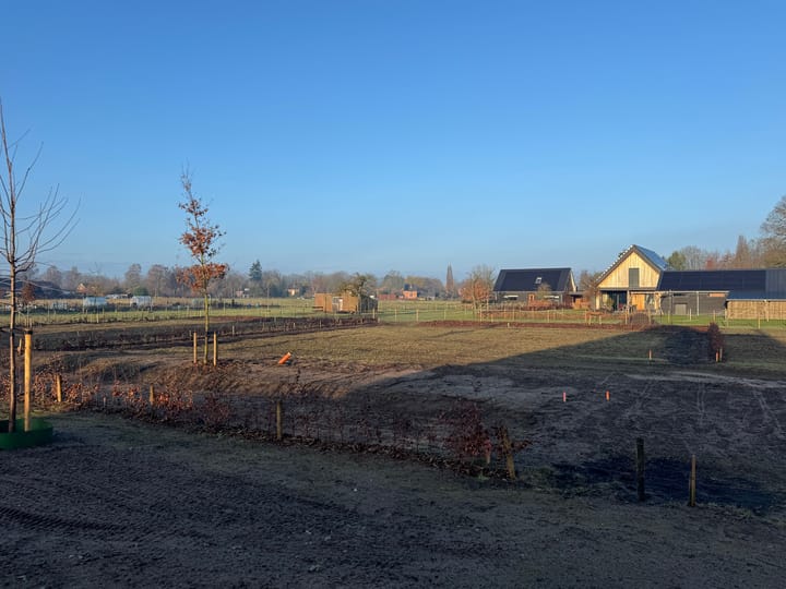 Foto 5 van Terracotta