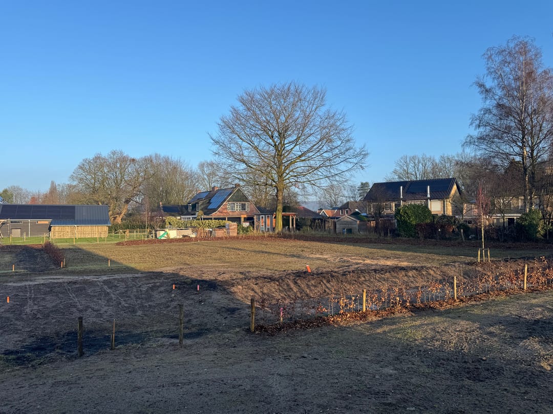 Foto 7 van Terracotta