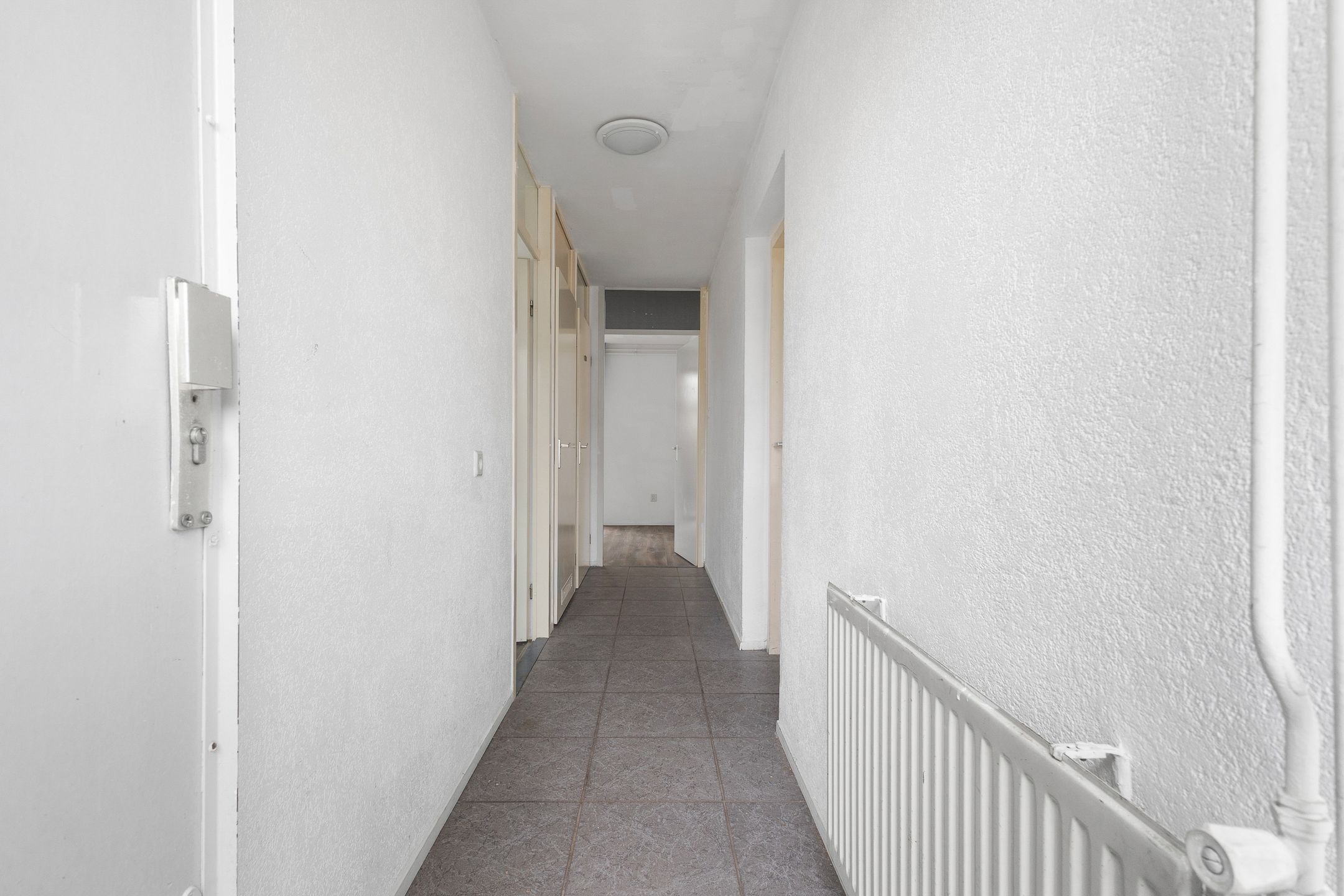Photo 18 of Turnhoutplantsoen 128