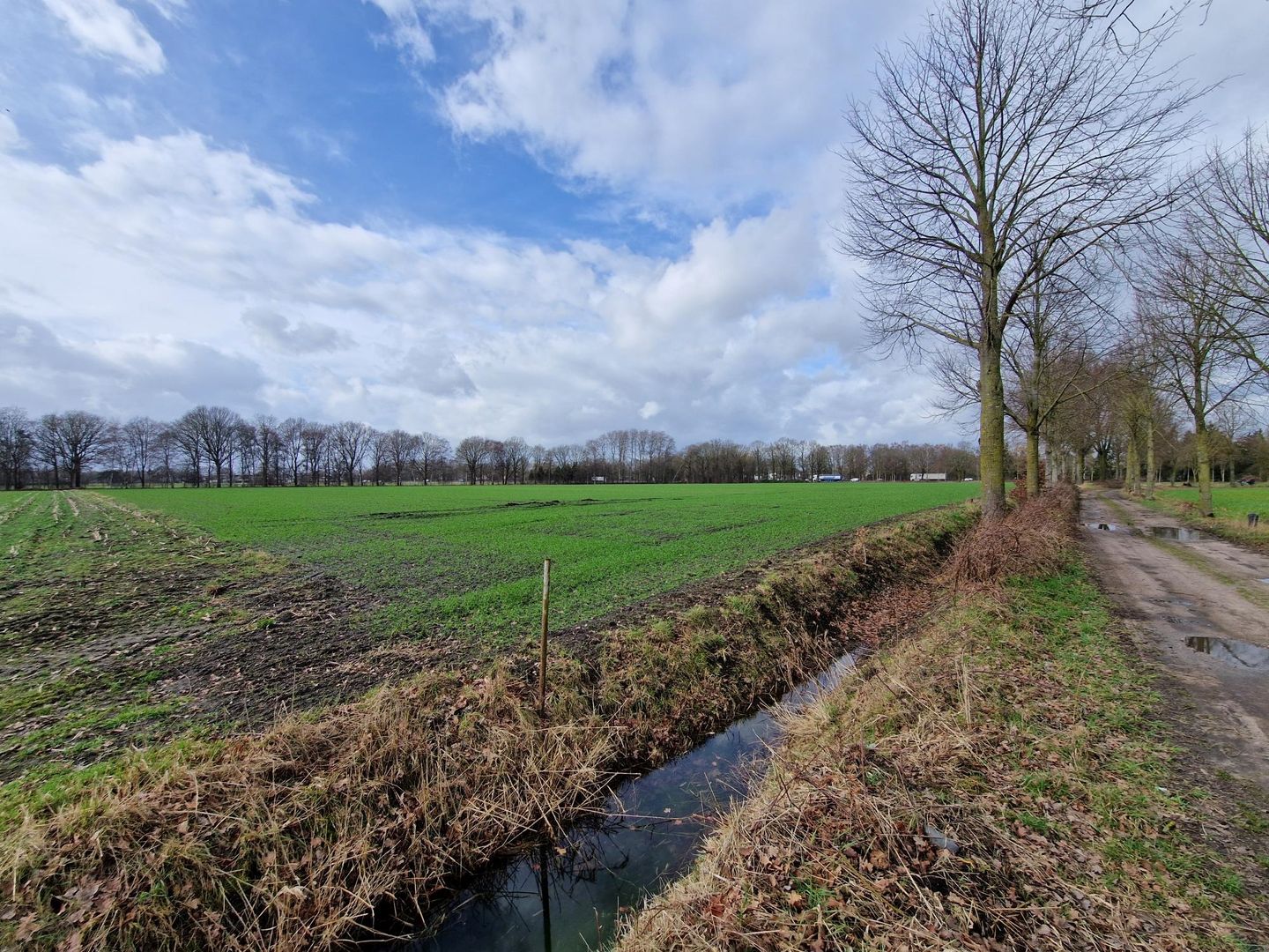 View photo 2 of Rondweg