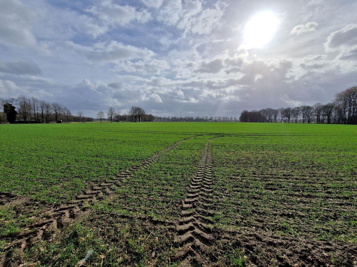 View photo 4 of Rondweg