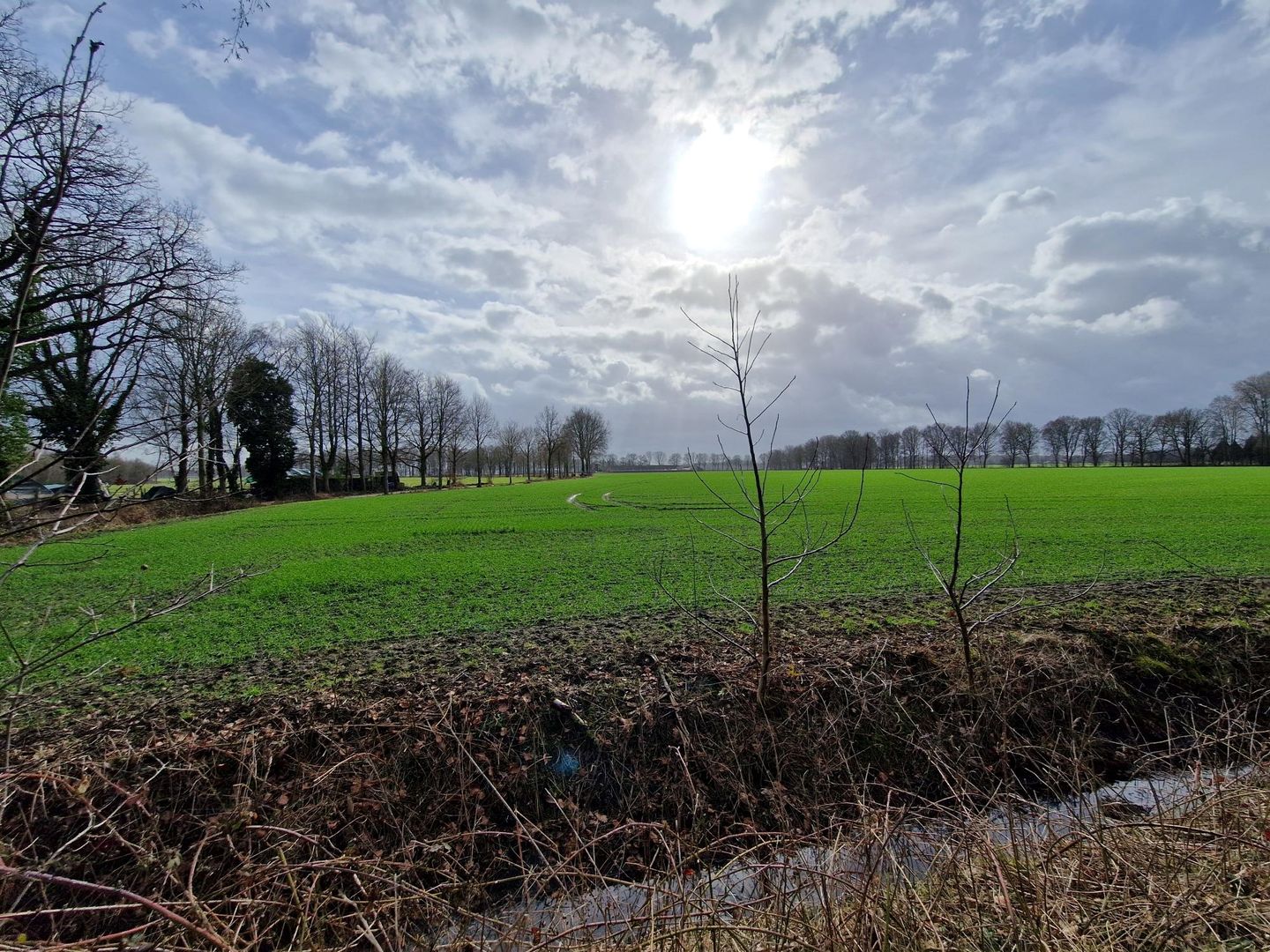 View photo 3 of Rondweg