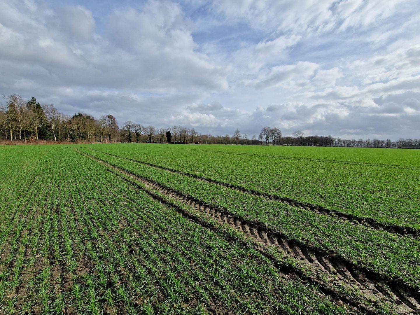 View photo 5 of Rondweg