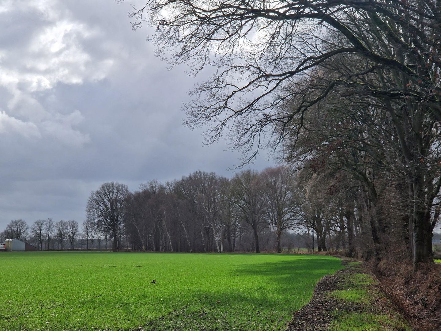 Rondweg - Bladel - Afbeelding 7