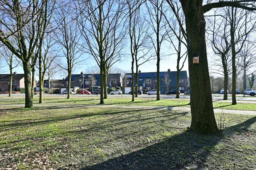 Foto 1 van de Noord 6