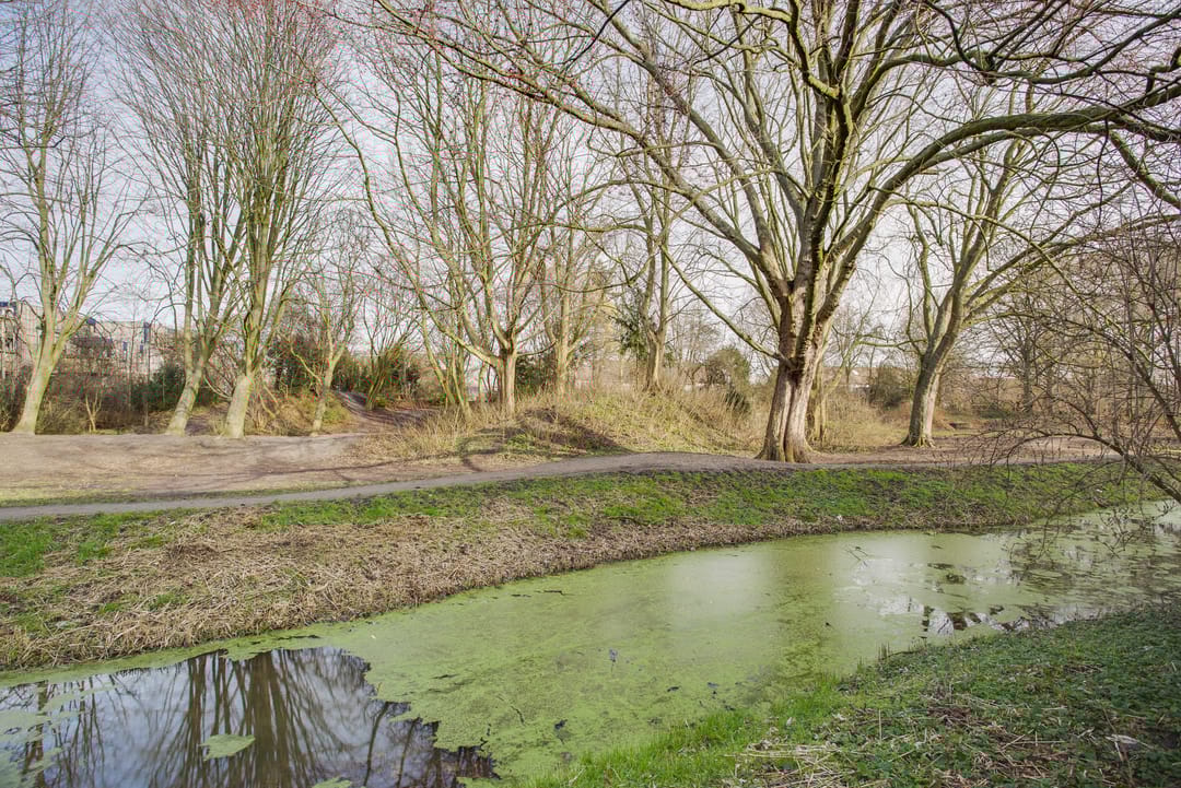 Photo 31 of Wingerdpark 28