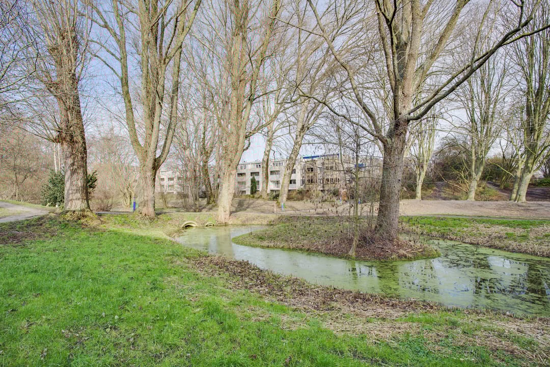 Photo 32 of Wingerdpark 28