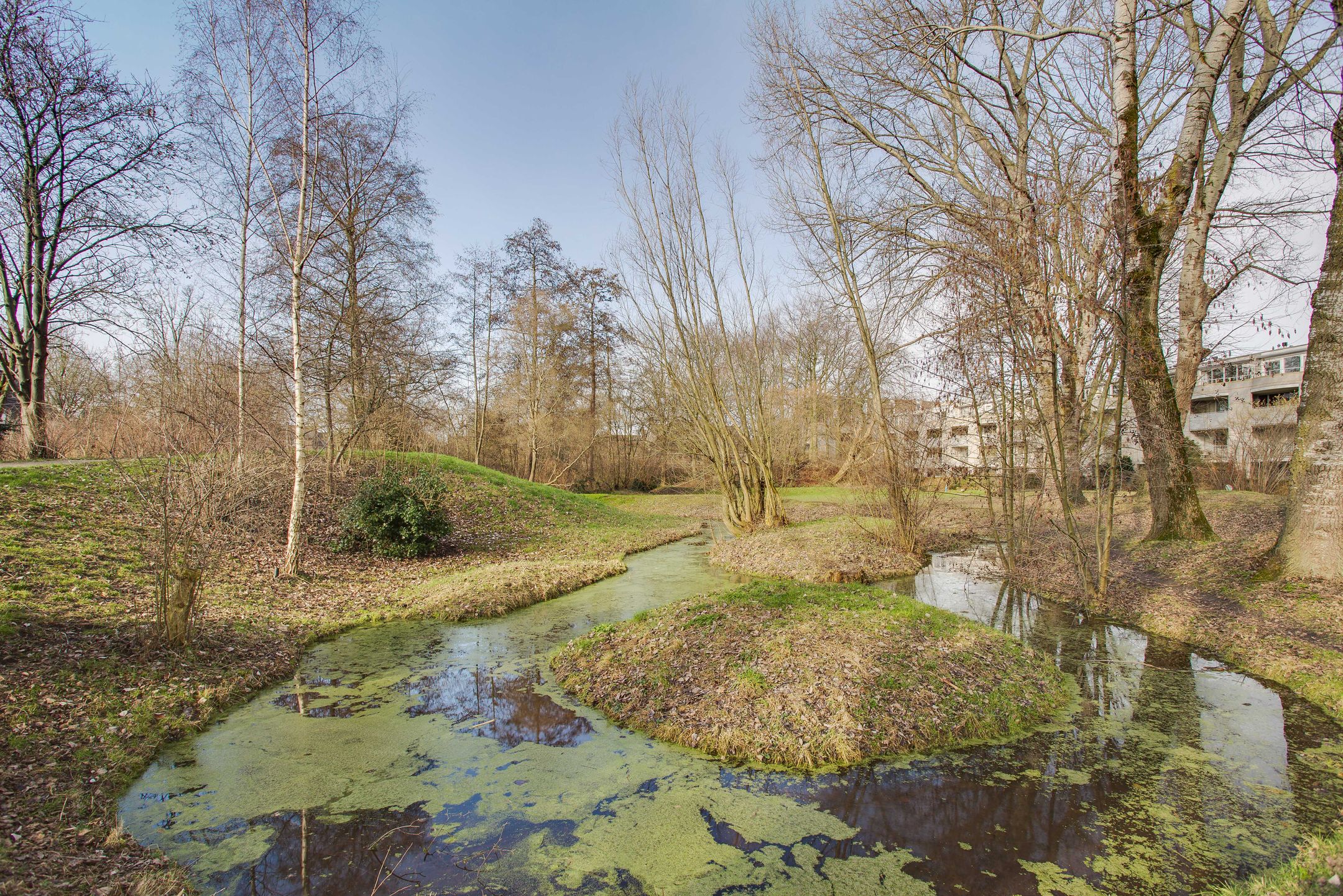 Photo 33 of Wingerdpark 28