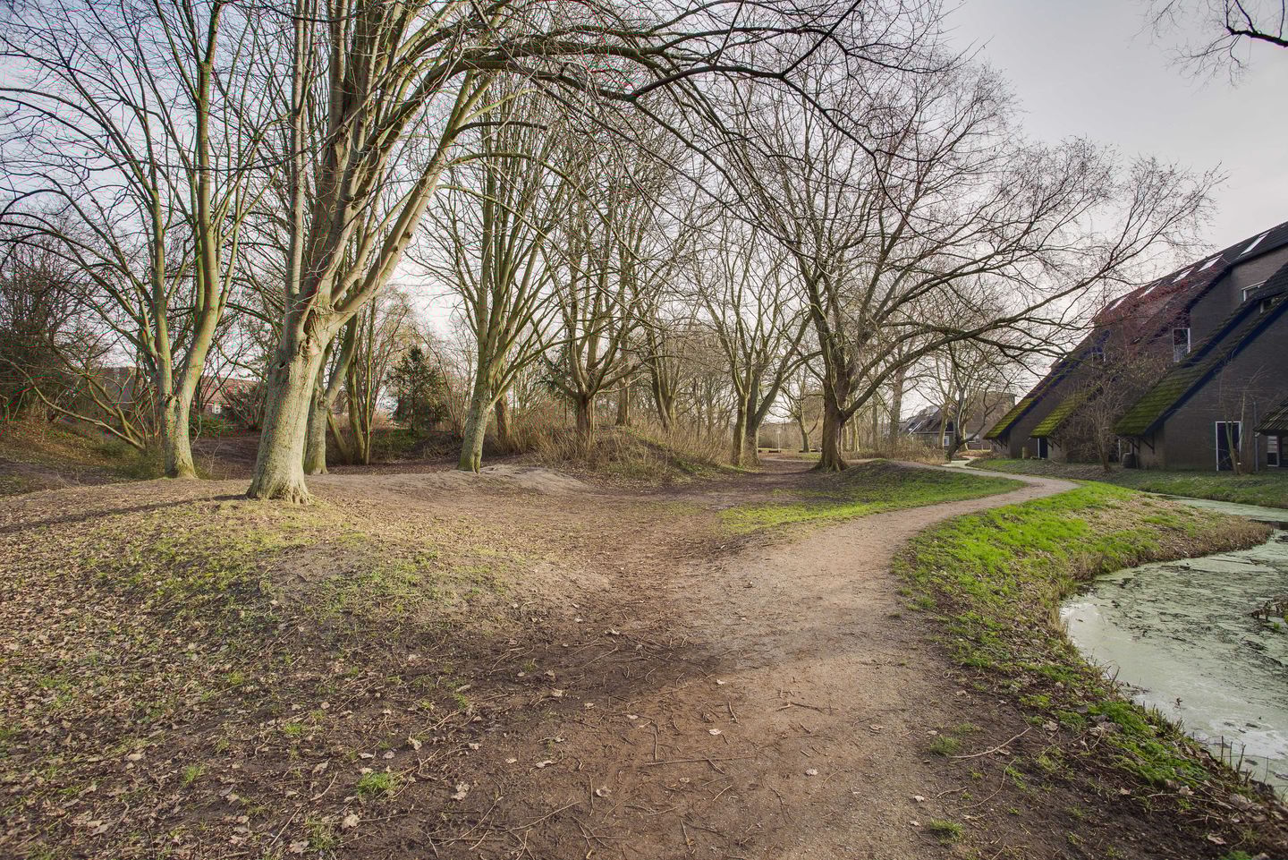 Photo 34 of Wingerdpark 28