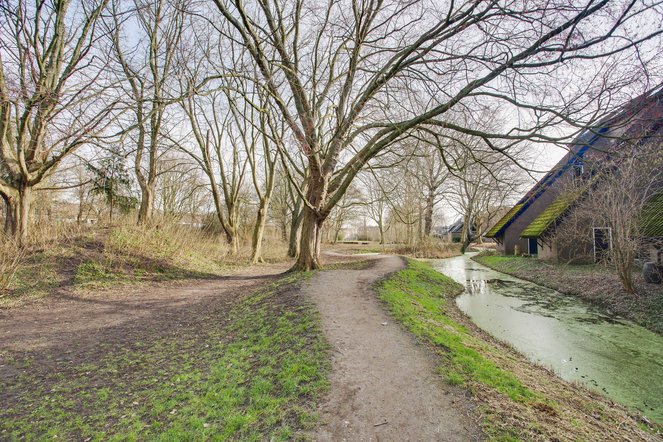 Photo 36 of Wingerdpark 28