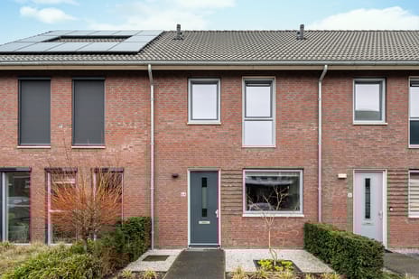 undefined main image