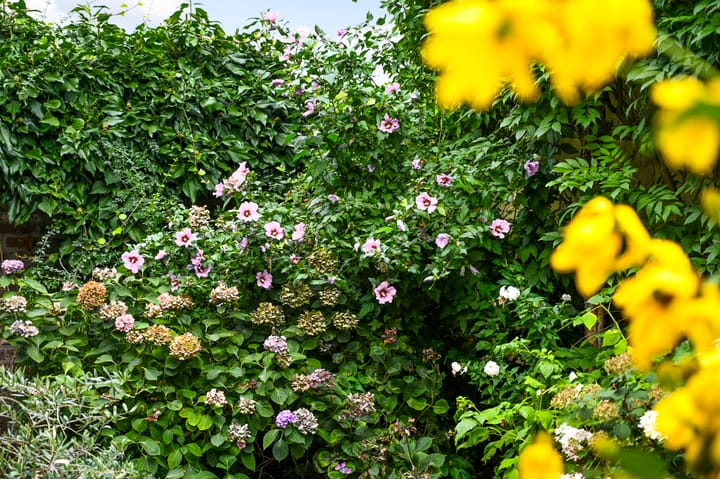 Foto 75 van Trippaardstraat 34