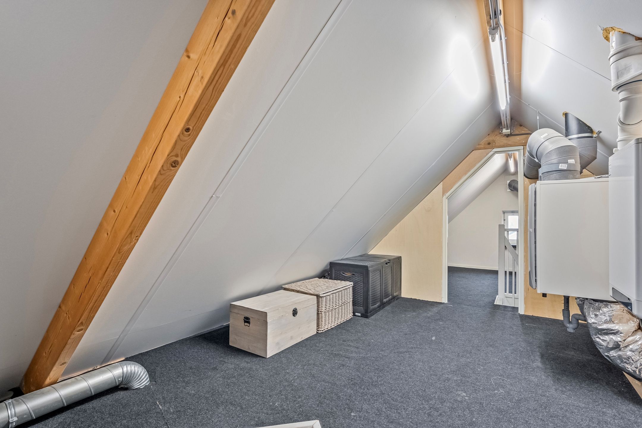 Foto 48 van Snoekbaars 14