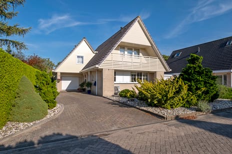 Alkmesschen thumbnail