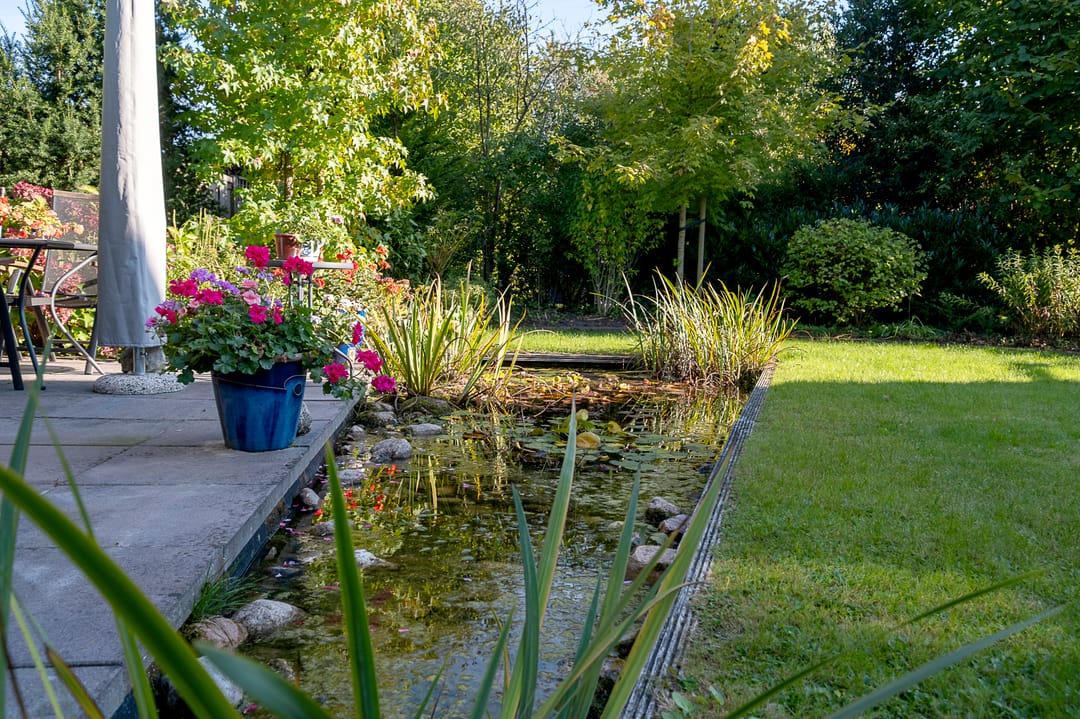 Photo 41 of Alkmesschen 75