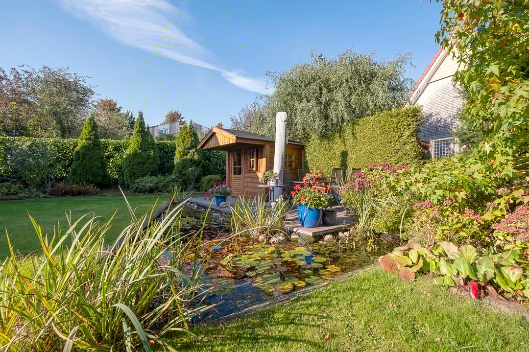 Photo 43 of Alkmesschen 75