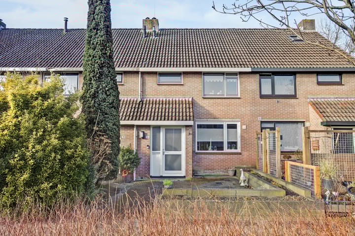 Foto 5 van Meibloem 16