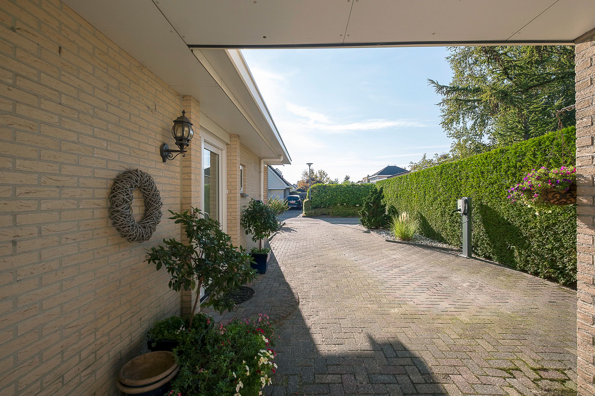 Photo 51 of Alkmesschen 75