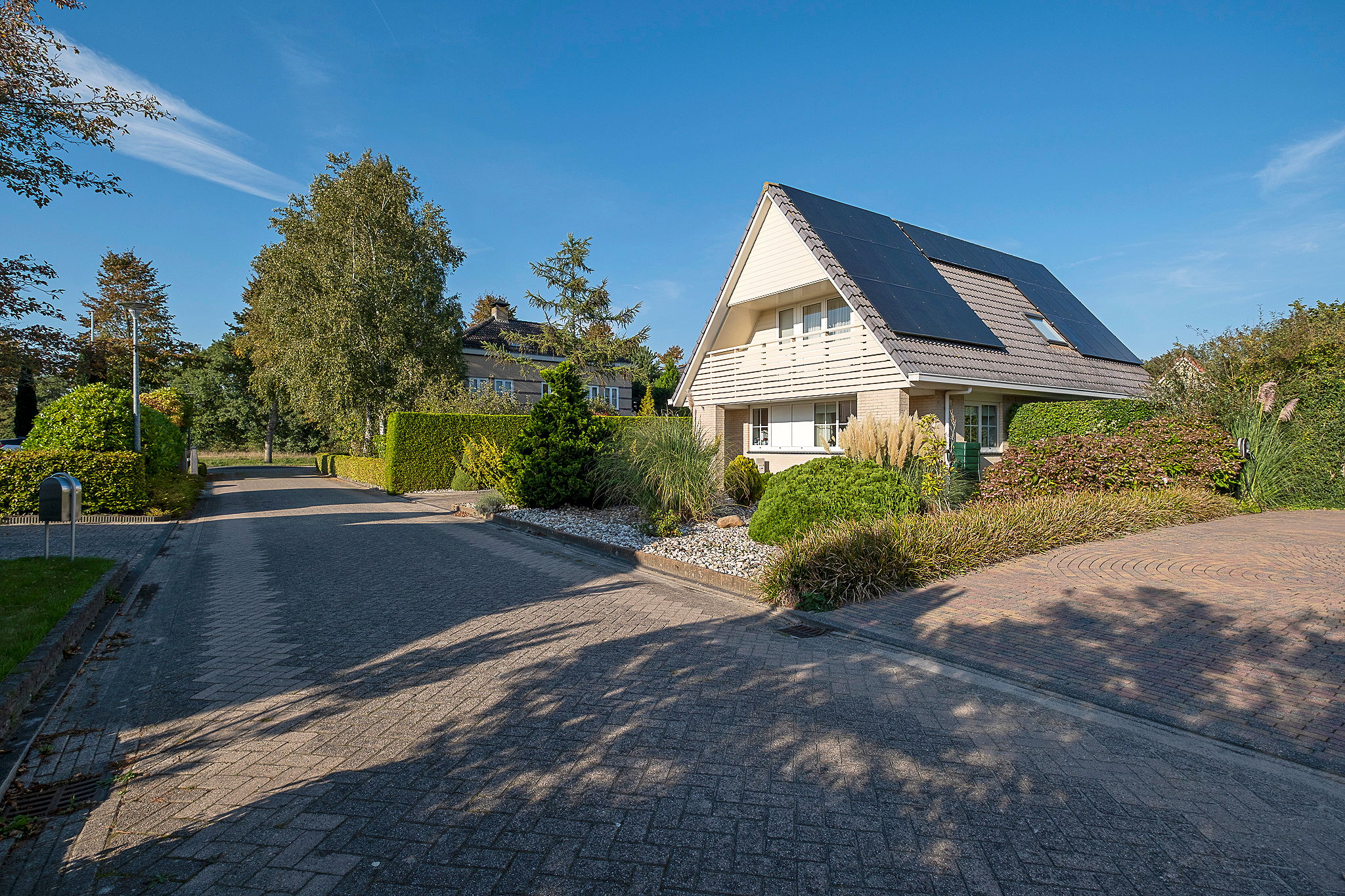 Photo 54 of Alkmesschen 75