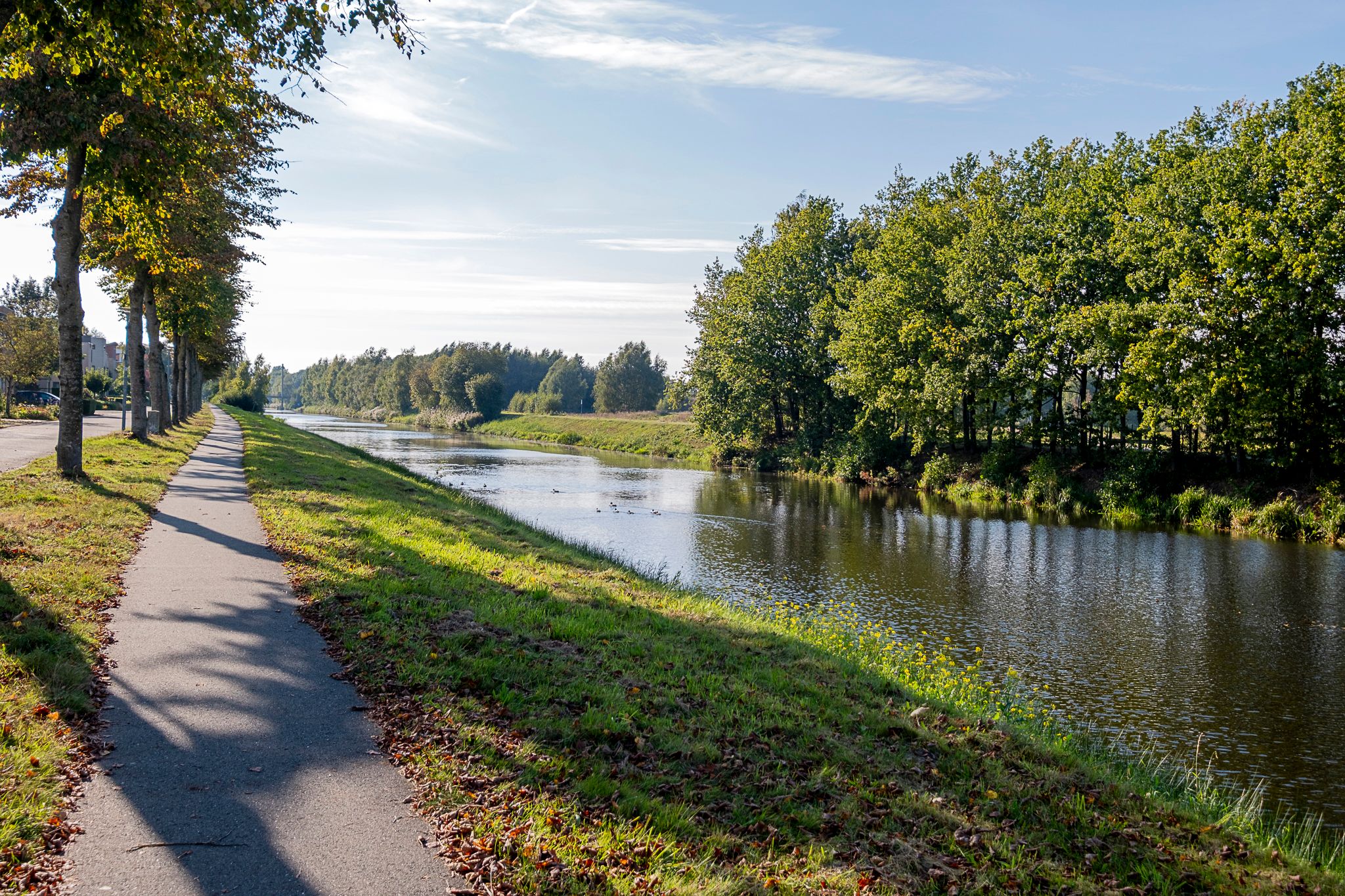 Photo 57 of Alkmesschen 75